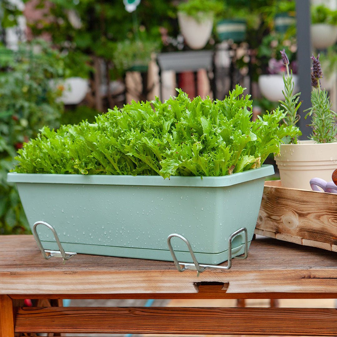 SOGA 49.5cm Green Rectangular Planter Vegetable Herb Flower Outdoor Plastic Box with Holder Balcony Garden Decor Set of 5 - Active Workspace