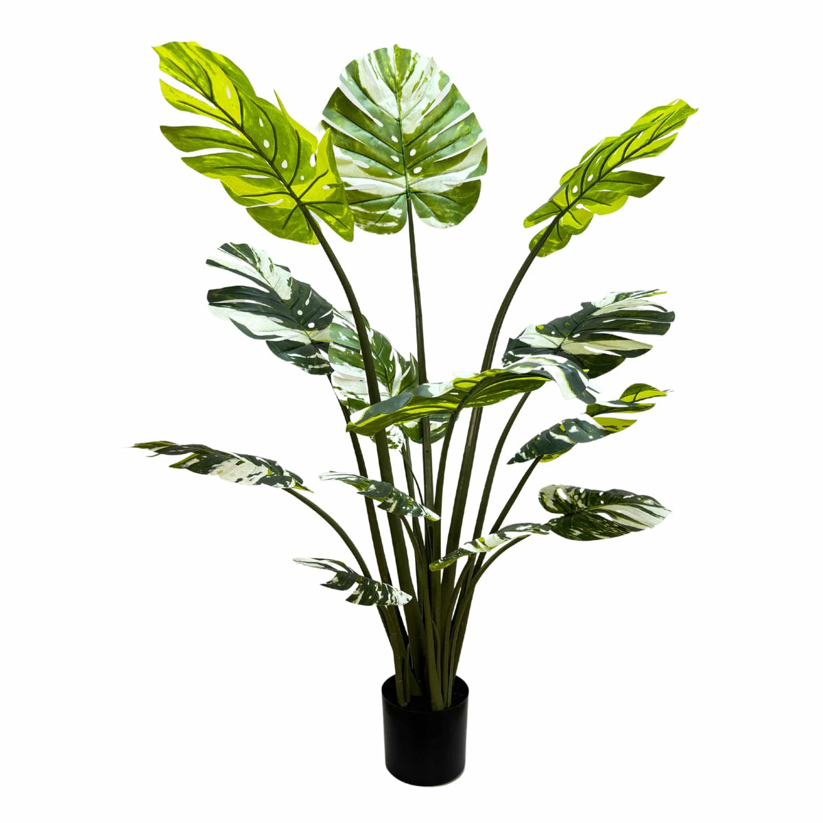 Premium Artificial Potted Monstera Albo 150cm