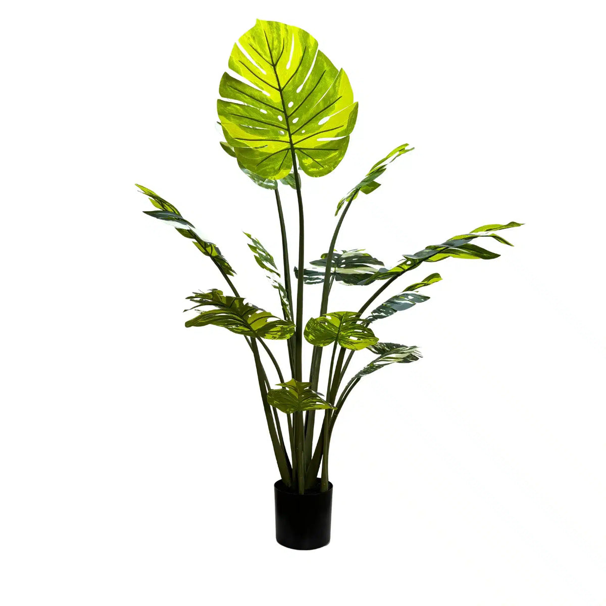 Premium Artificial Potted Monstera Albo 150cm