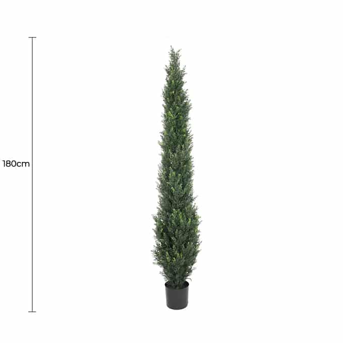 Cypress Pine Tree UV Resistant 1.8M - New