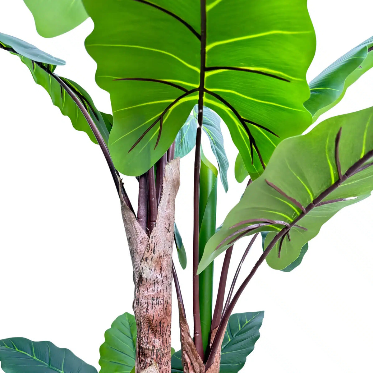 Nearly Natural Artificial 170cm Tall Taro Plant