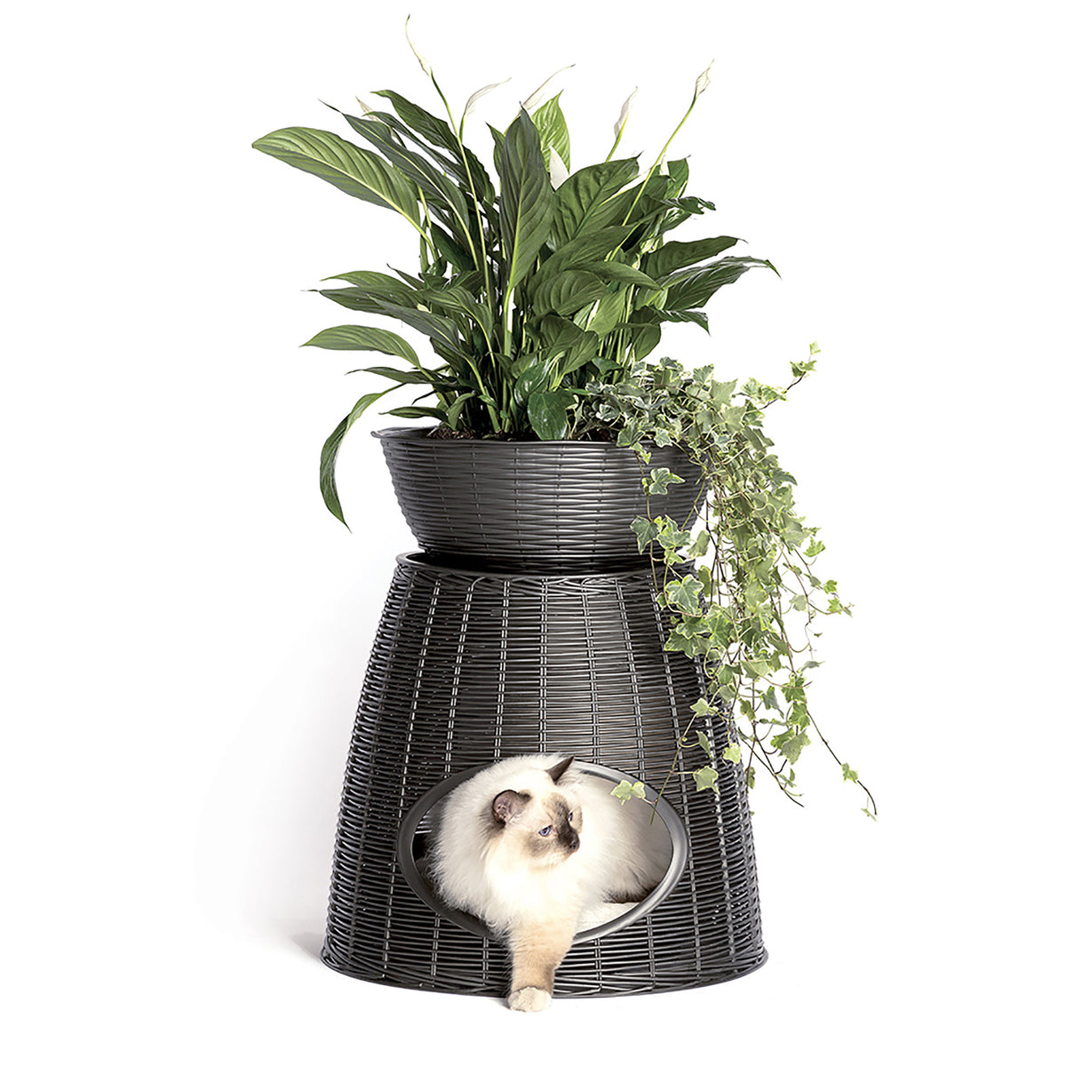 Cuccia Pasha Pet Home - Anthracite