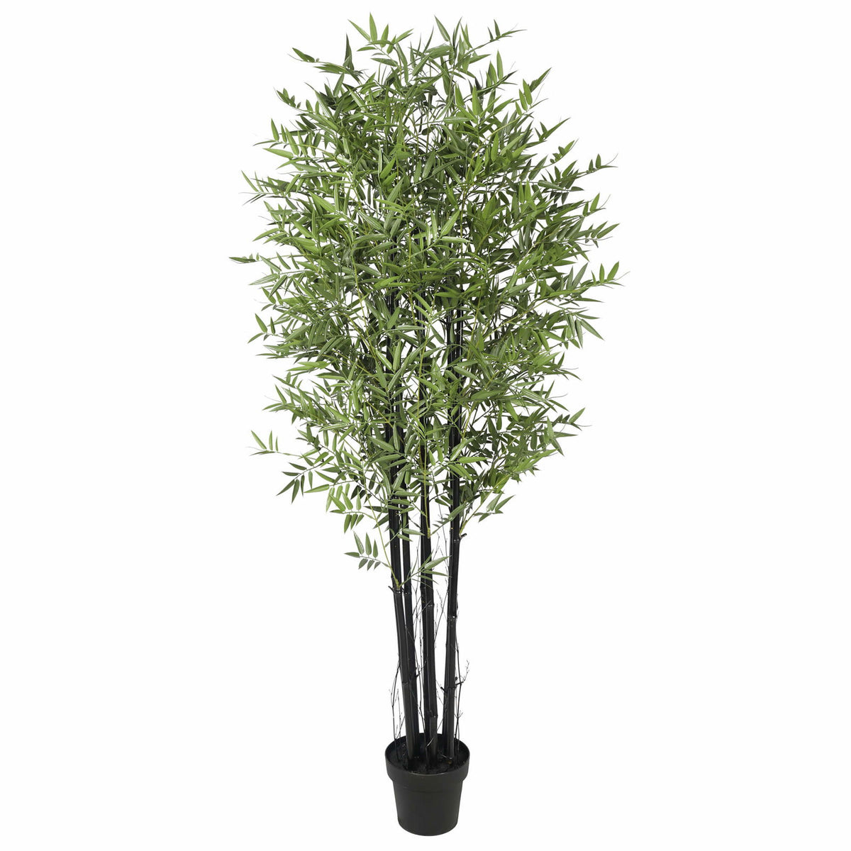 Premium Potted Artificial Black Bamboo Tree UV Resistant 180cm