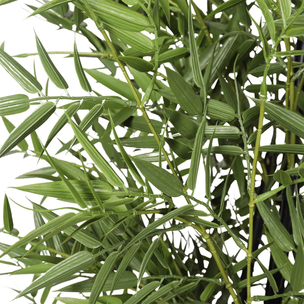 Premium Potted Artificial Black Bamboo Tree UV Resistant 180cm