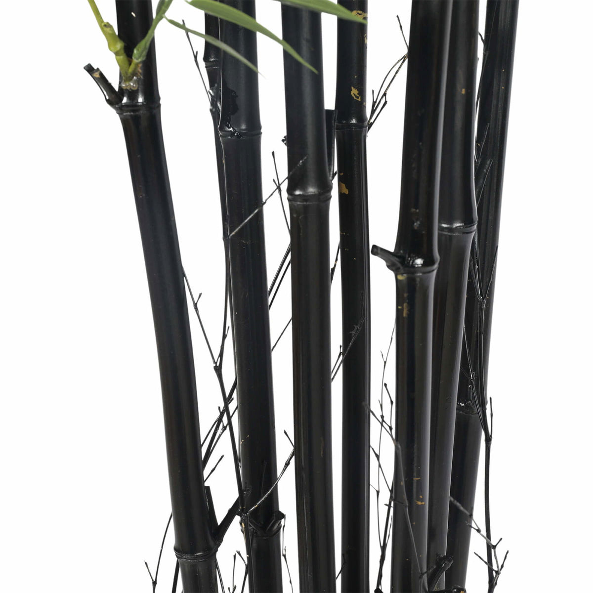 Premium Potted Artificial Black Bamboo Tree UV Resistant 180cm