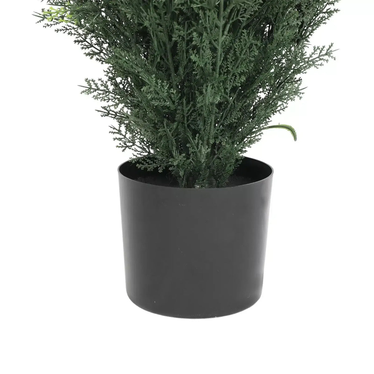 Cypress Pine Tree UV Resistant 1.8M - New