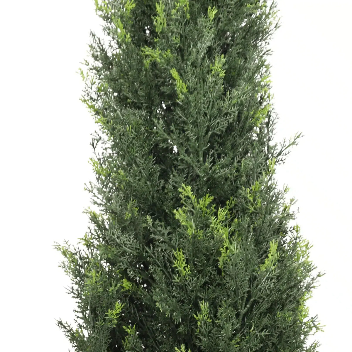 Cypress Pine Tree UV Resistant 1.8M - New