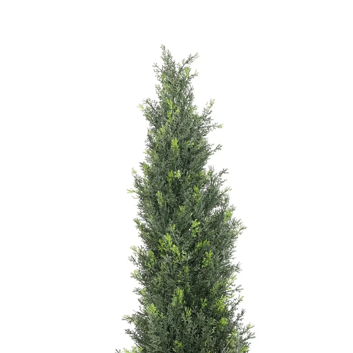 Cypress Pine Tree UV Resistant 1.8M - New