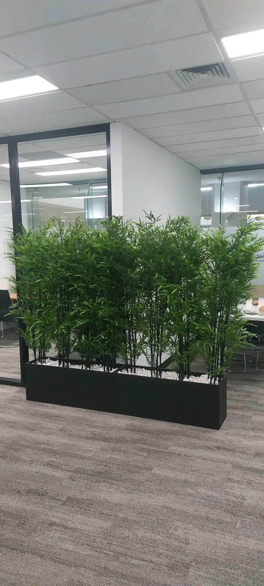 Premium Dense Artificial Black Bamboo 180cm