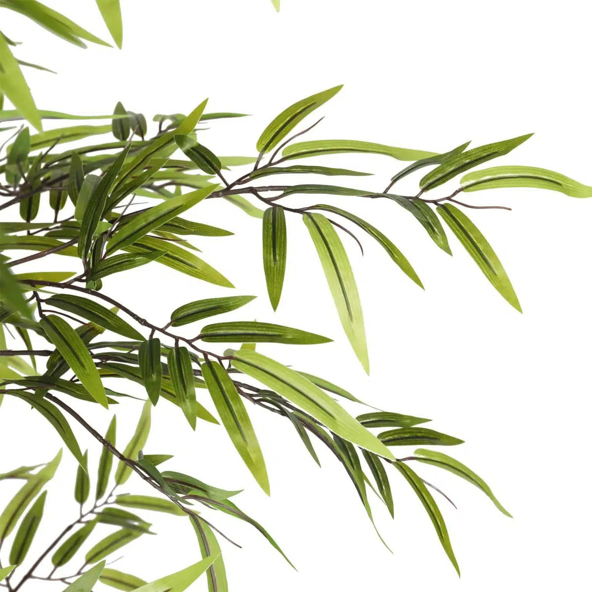 Premium Dense Artificial Black Bamboo 180cm