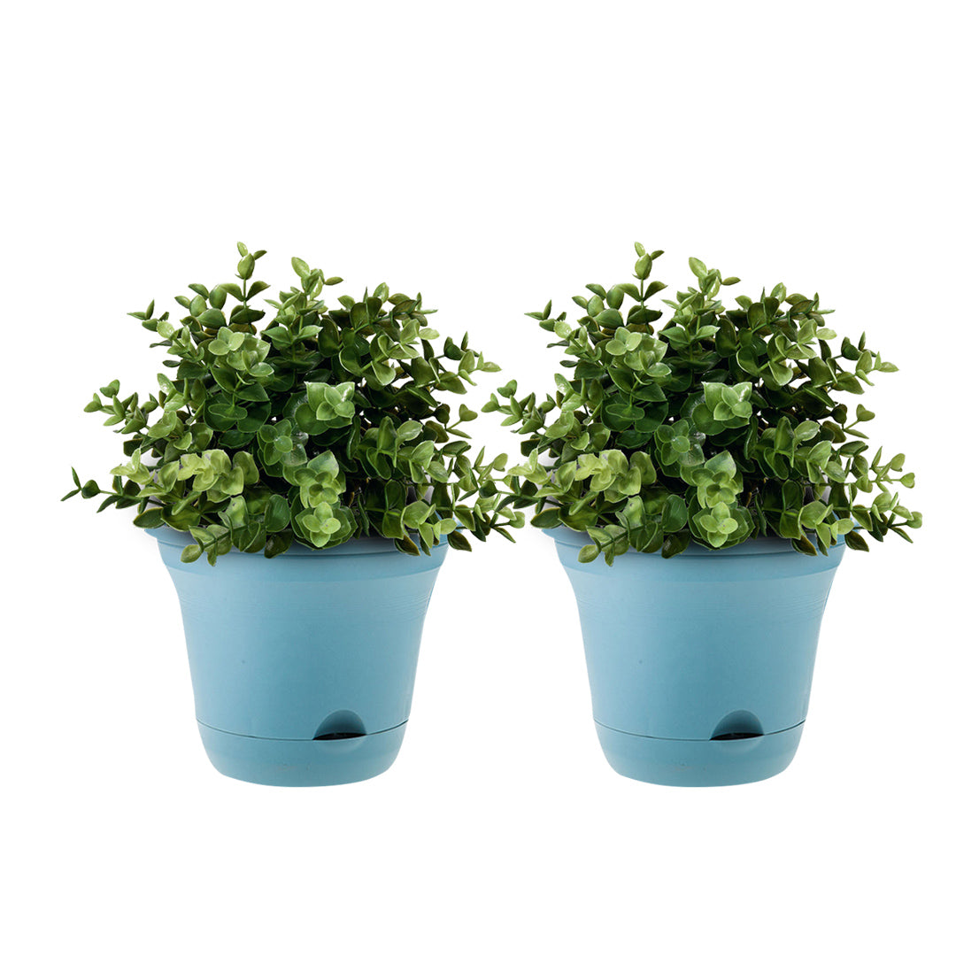 SOGA 19.5cm Blue Plastic Plant Pot Self Watering Planter Set of 2