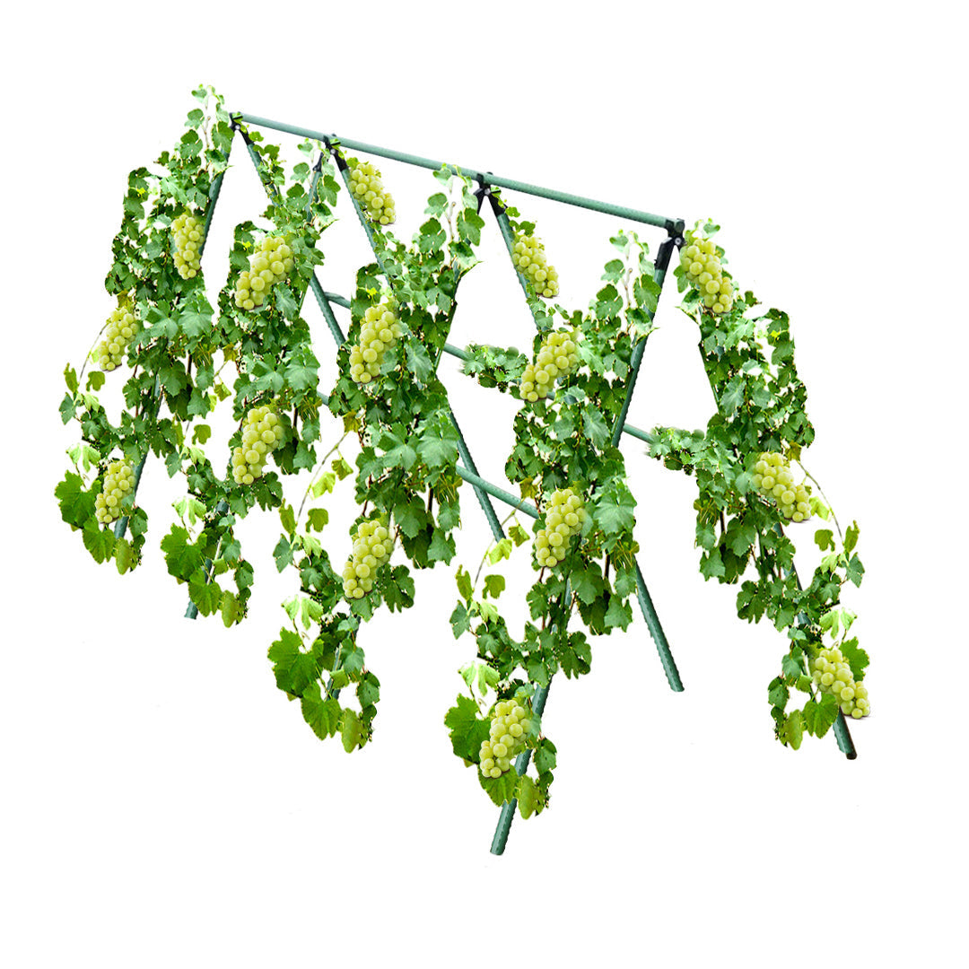 SOGA 120X90cm Plant Frame Tube Trellis Vegetable Flower Herbs Outdoor Vine Support Adjustable Garden Rack