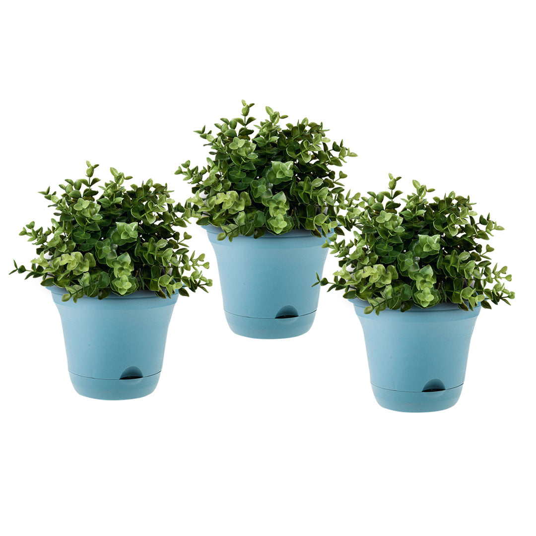 SOGA 19.5cm Blue Plastic Plant Pot Self Watering Planter Set of 3