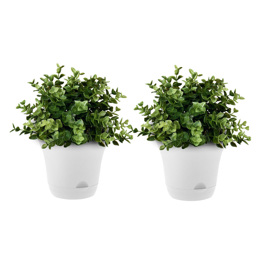 SOGA 19.5cm White Plastic Plant Pot Self Watering Planter Decor Set of 2