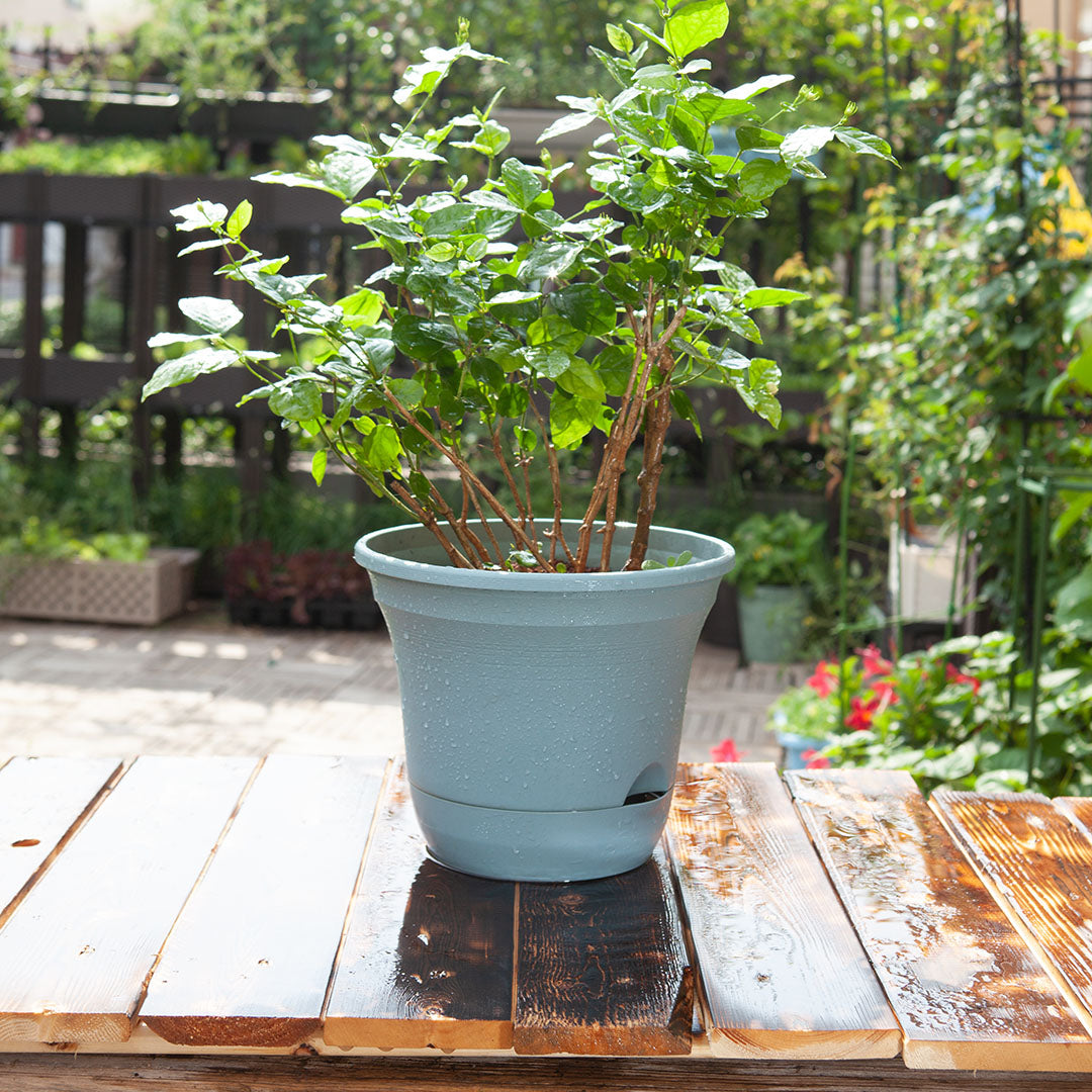 SOGA 19.5cm Blue Plastic Plant Pot Self Watering Planter Set of 3