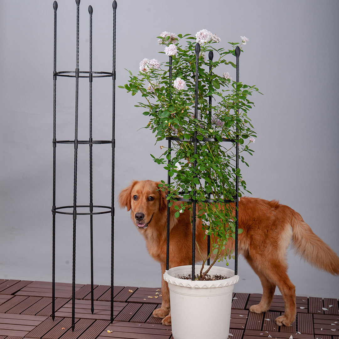 SOGA 2X 133cm 4-Bar Plant Frame Stand Trellis Vegetable Flower Herbs Outdoor Vine Support Garden Rack with Rings