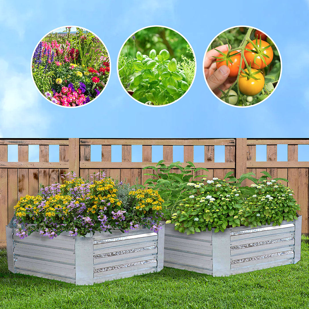 SOGA 2X 60cm Hexagon Shape Galvanised Raised Garden Bed Vegetable Herb Flower Outdoor Planter Box