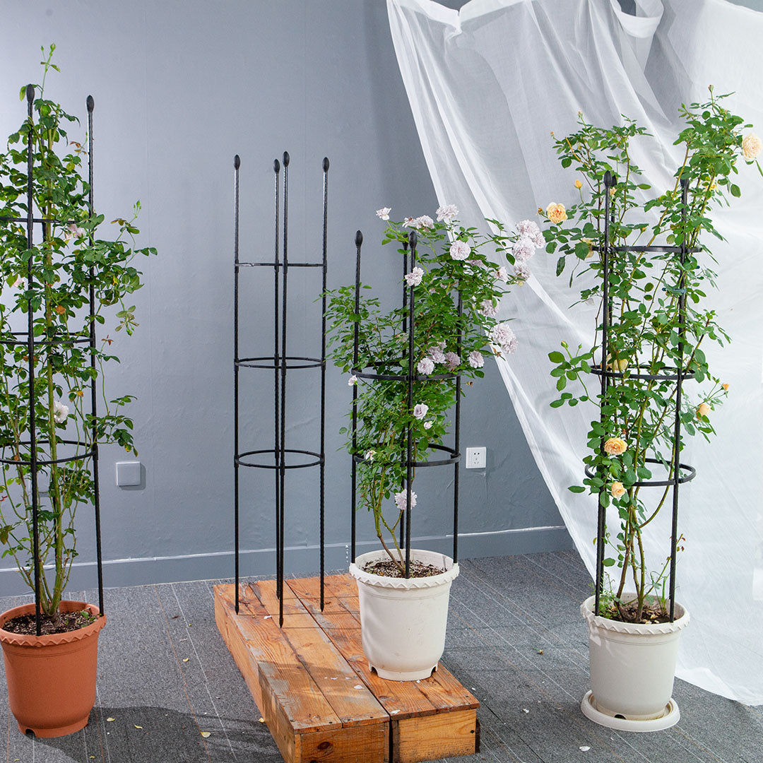 SOGA 2X 133cm 4-Bar Plant Frame Stand Trellis Vegetable Flower Herbs Outdoor Vine Support Garden Rack with Rings