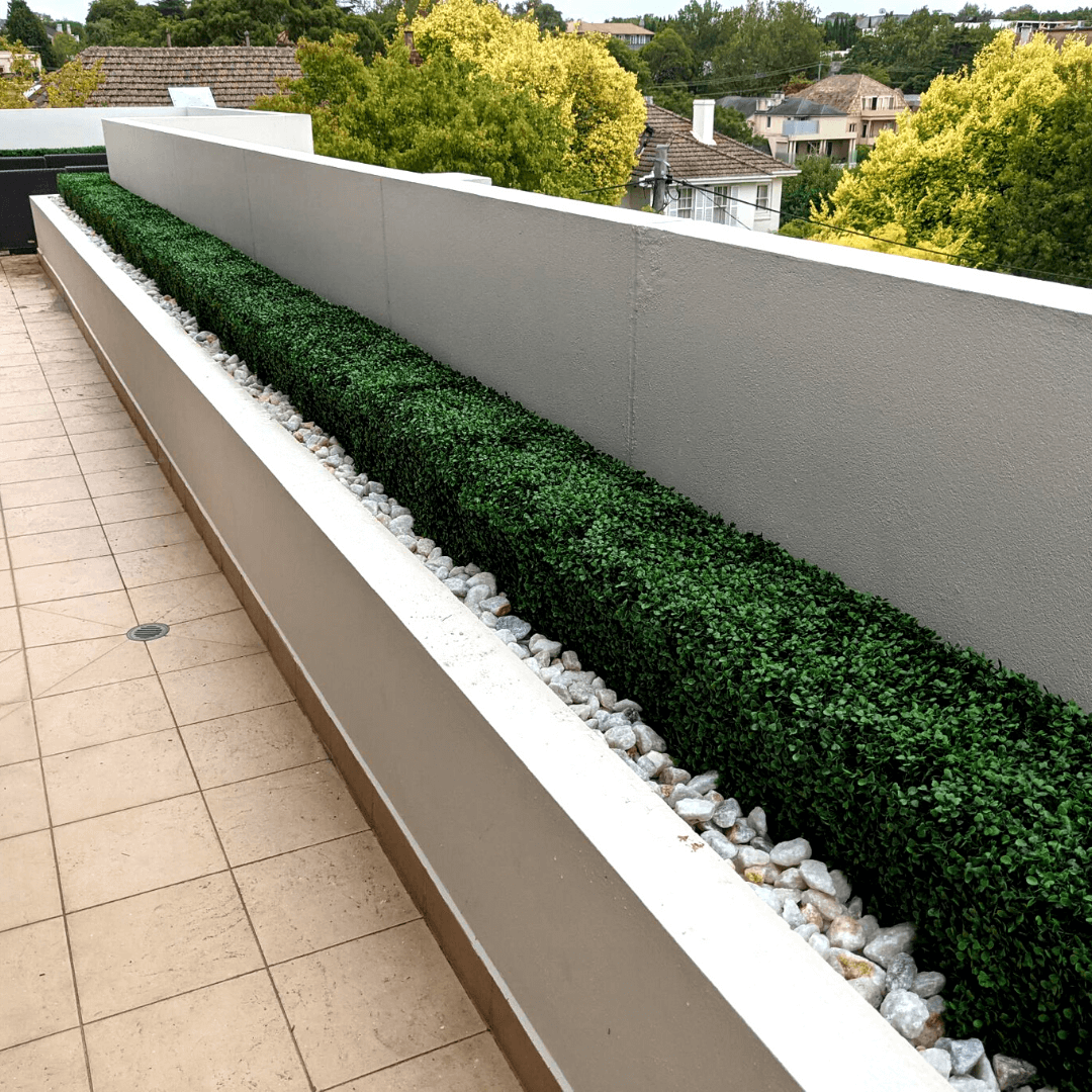 Portable Boxwood Hedge UV Resistant 25cm High 100cm Long - Active Workspace
