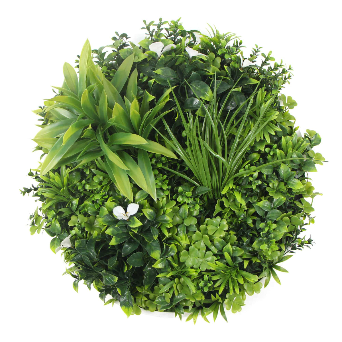 Flowering White Artificial Green Wall Disc UV Resistant 75cm Frame