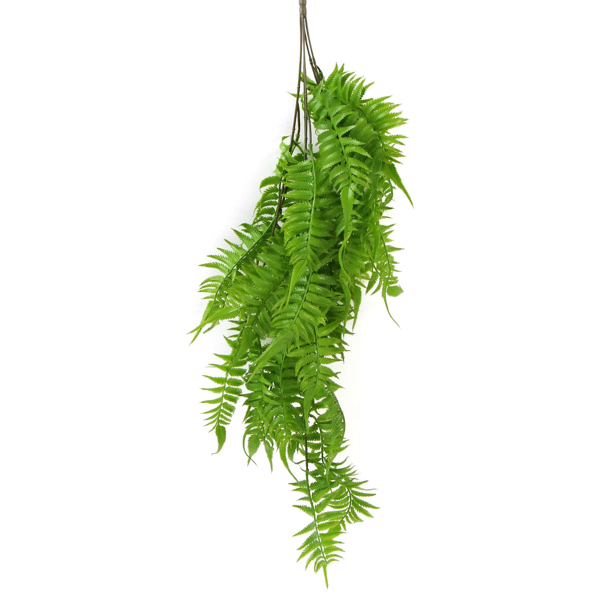 Artificial Hanging English Fern (Two-tone) Foliage UV Resistant 80cm - Active Workspace