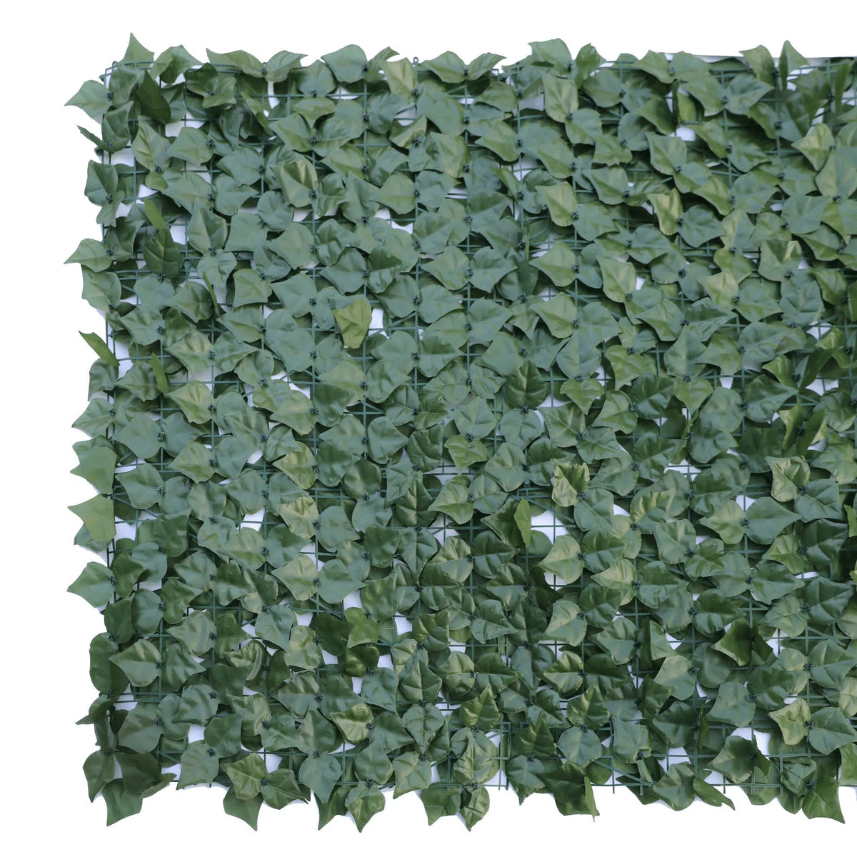 Double Sided Ivy Rolls 3m x 1m