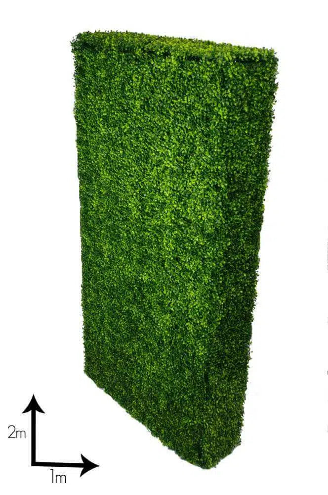 Large Portable Mixed Boxwood Hedge UV Resistant 100cm Long x 200cm High