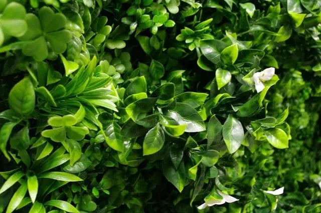 Luxury White Oasis Vertical Garden / Green Wall UV Resistant 1m x 1m