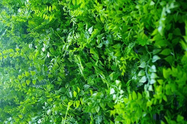 Mediterranean Fern Vertical Garden / Green Wall UV Resistant 1m x 1m