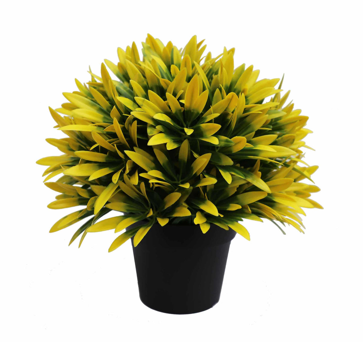 UV Treated 20cm Small Potted Plants Bundle