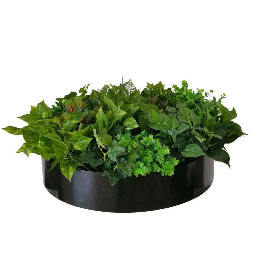 Artificial Green Wall Disc Art 60cm Mixed Fern &amp; Ivy (Onyx Black)