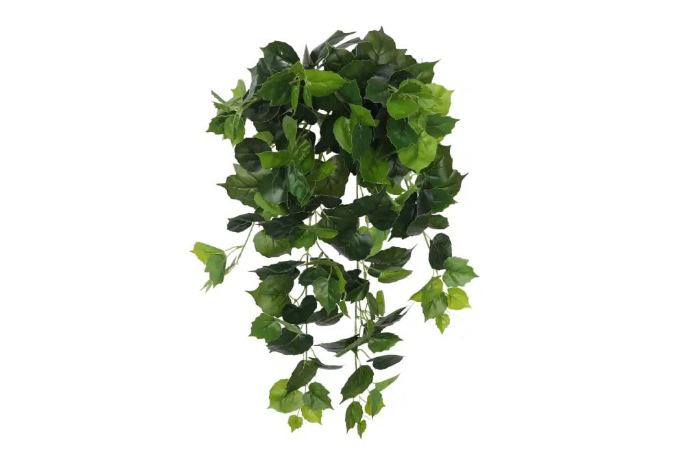 Variegated Hanging Foliage Bush 100cm