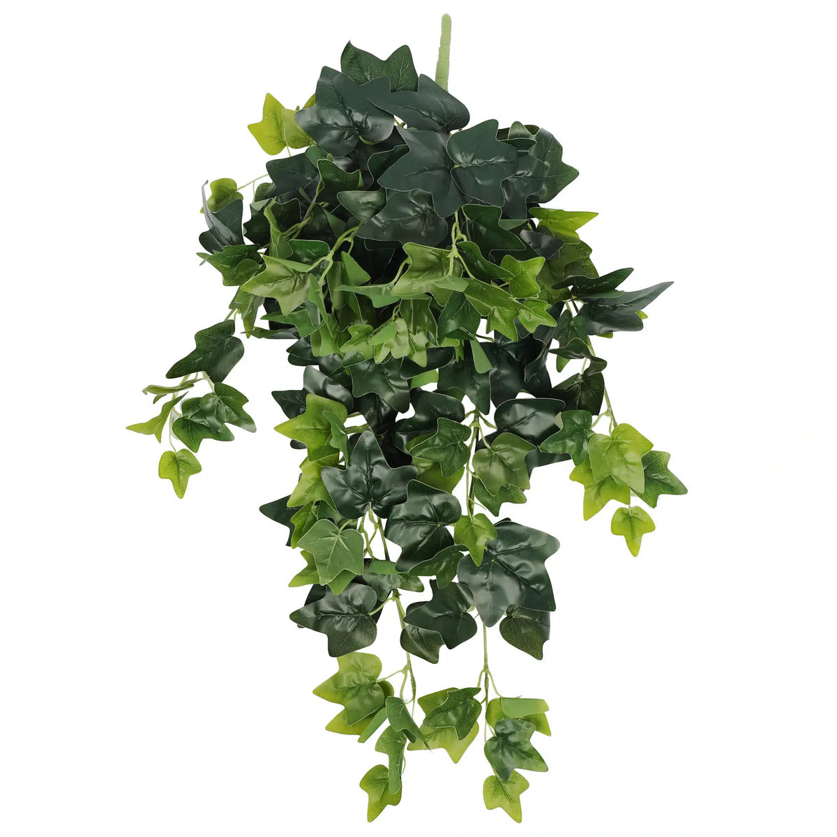 Hanging Green Ivy Bush 80cm