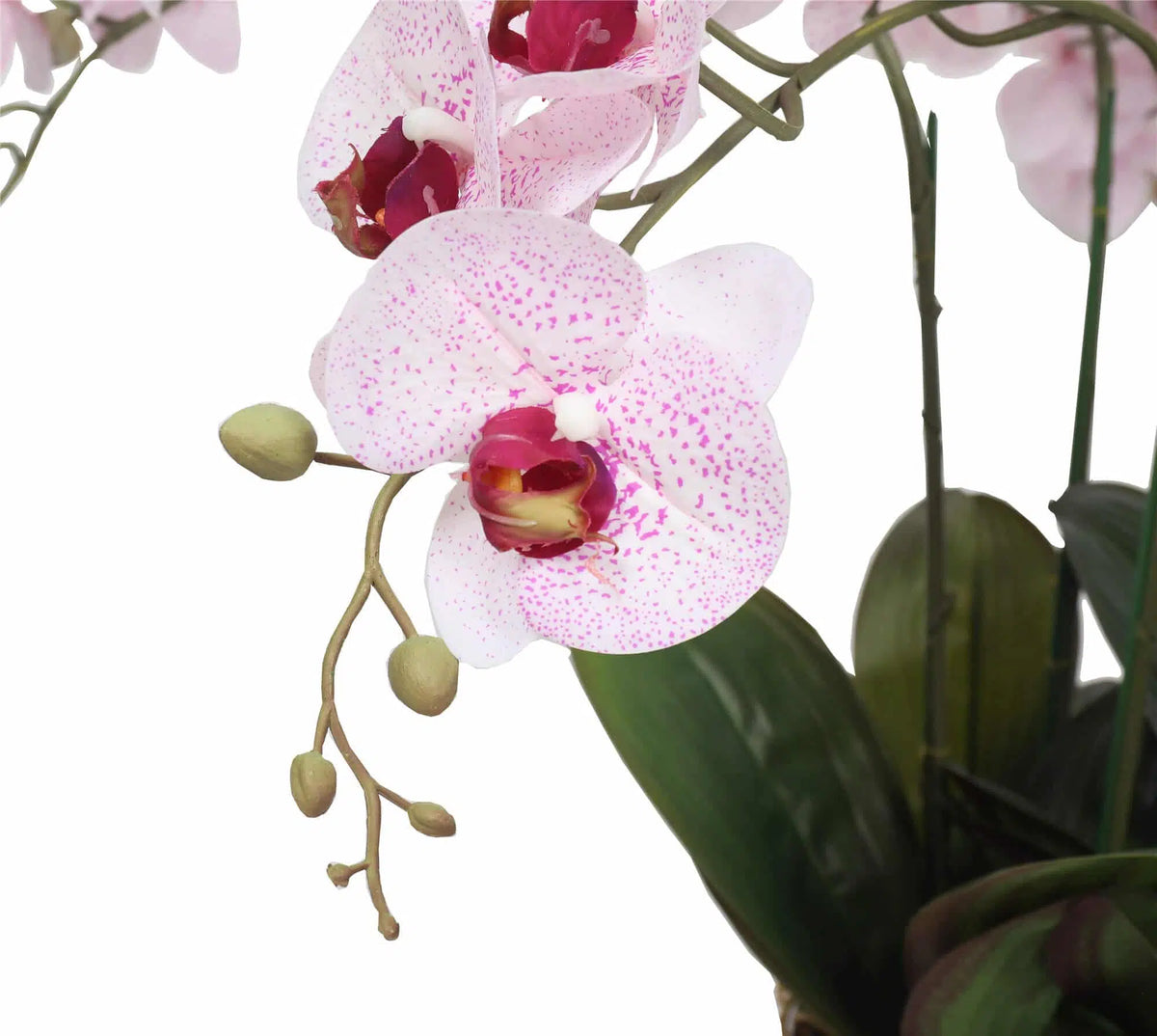 66cm Multi Stem Butterfly Artificial Potted Orchid With Pink Flowers