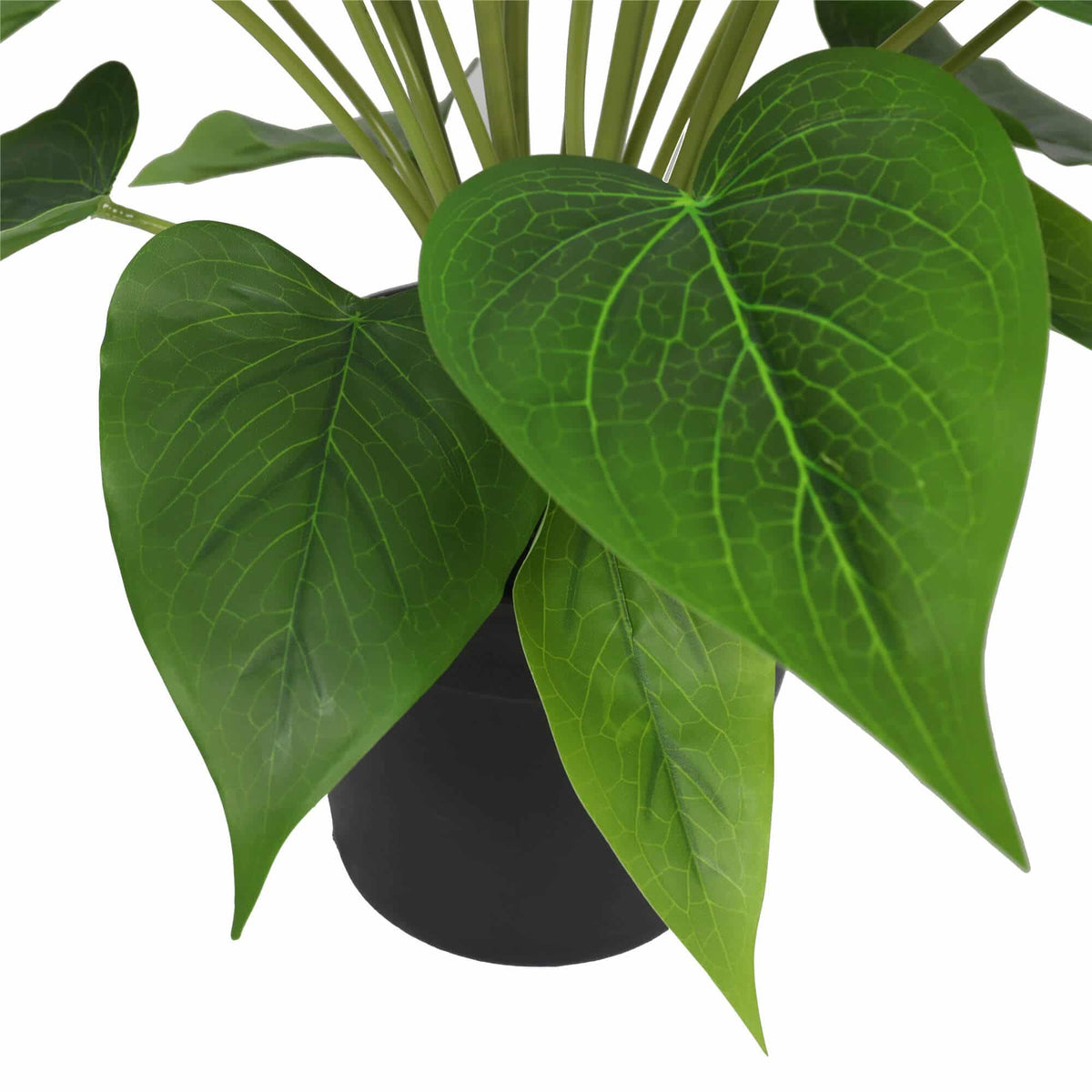Artificial Flowering White & Pink Peace Lily / Calla Lily Plant 50cm - Active Workspace