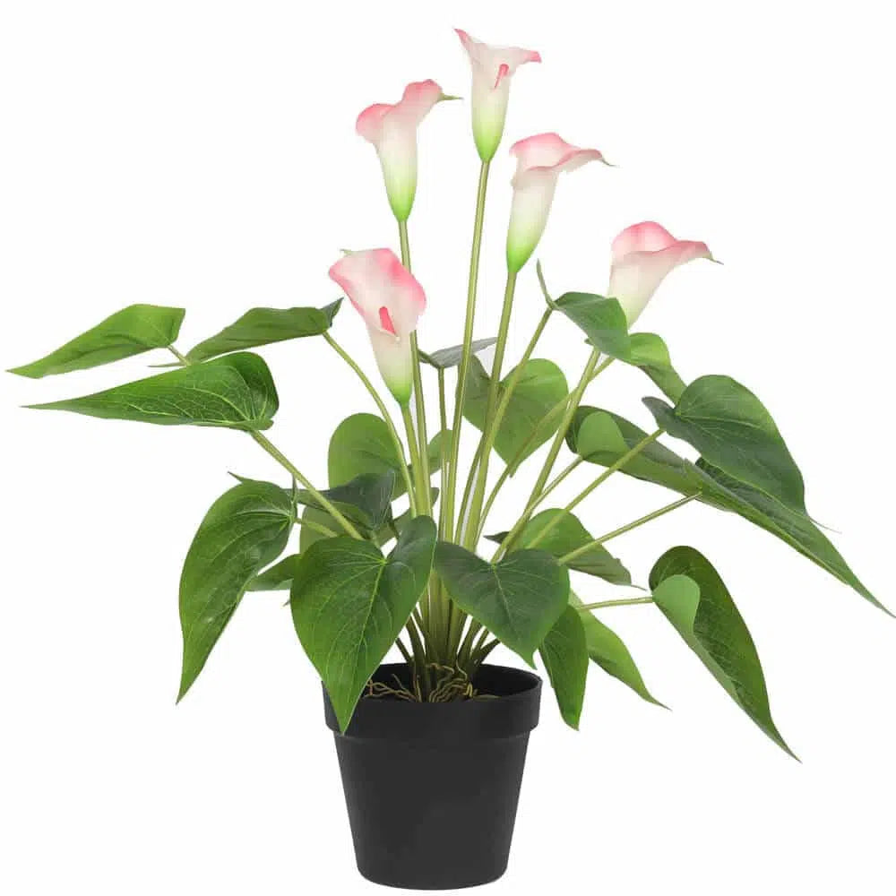 Artificial Flowering White & Pink Peace Lily / Calla Lily Plant 50cm - Active Workspace