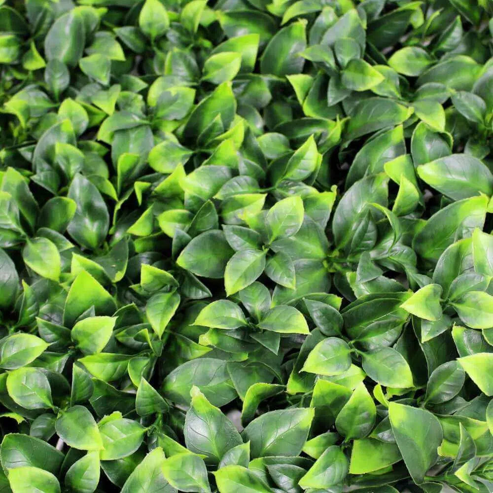 Jasmine Hedge Screen Green Wall Panel UV Resistant 100cm x 100cm