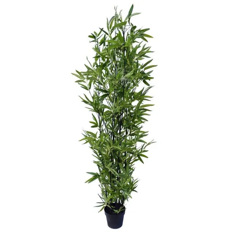 Artificial Bamboo Plant Black Bamboo 160cm Real Touch Leaves