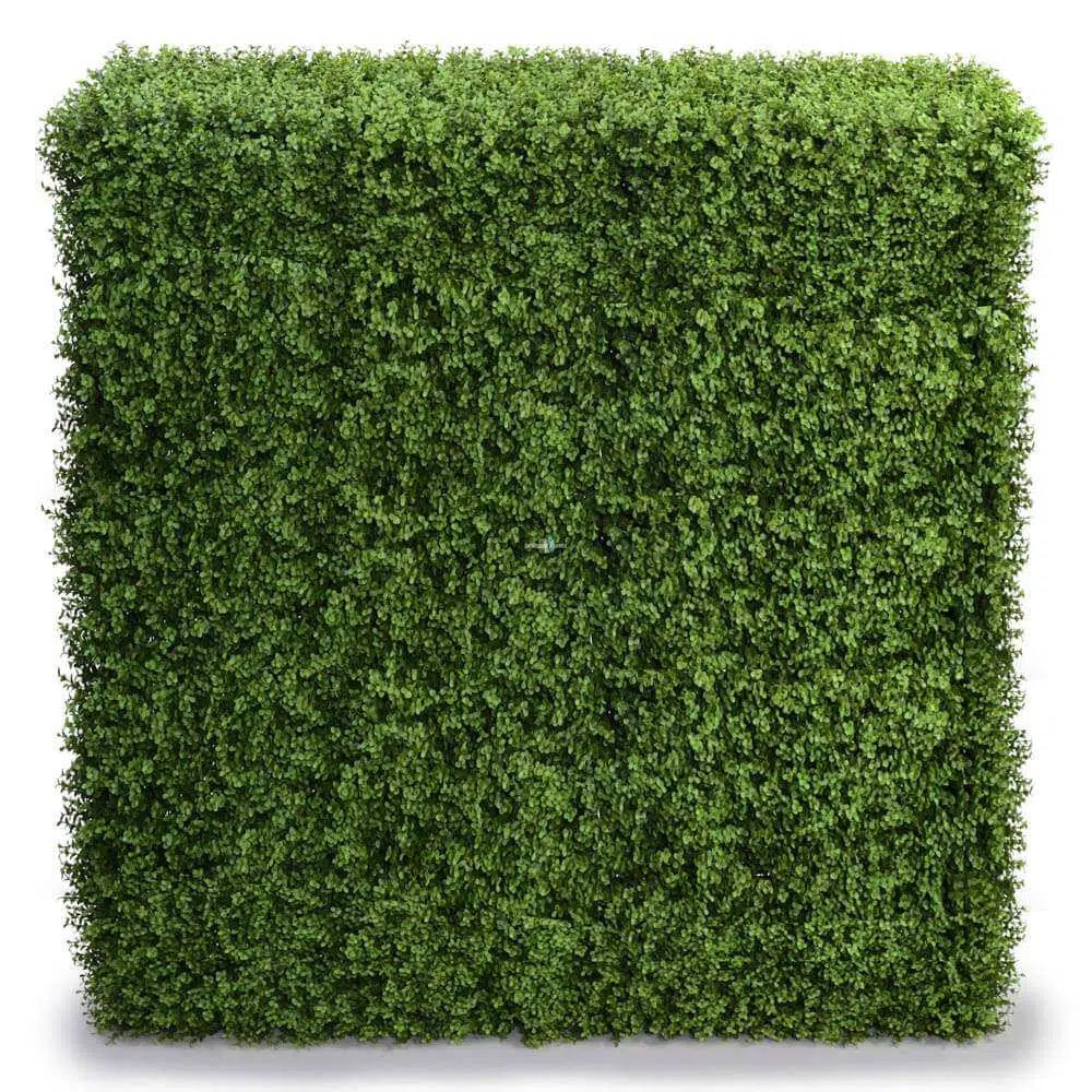 Deluxe Portable Buxus Hedge UV Resistant 150cm Long x 150cm High