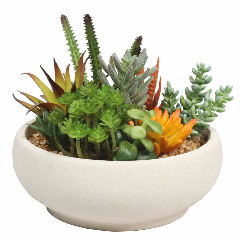Potted Artificial Succulent Bowl with Natural Stone Pot 21cm