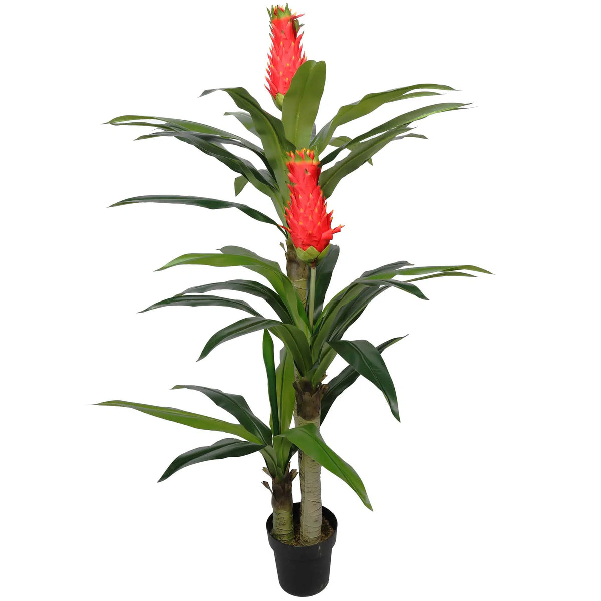 Faux Red Flowering Multi Cane Artificial Draceana 167cm