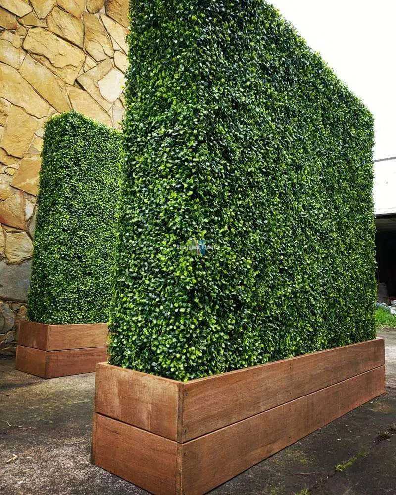 Large Portable Mixed Boxwood Hedge 1.5m by 1.5m UV Resistant