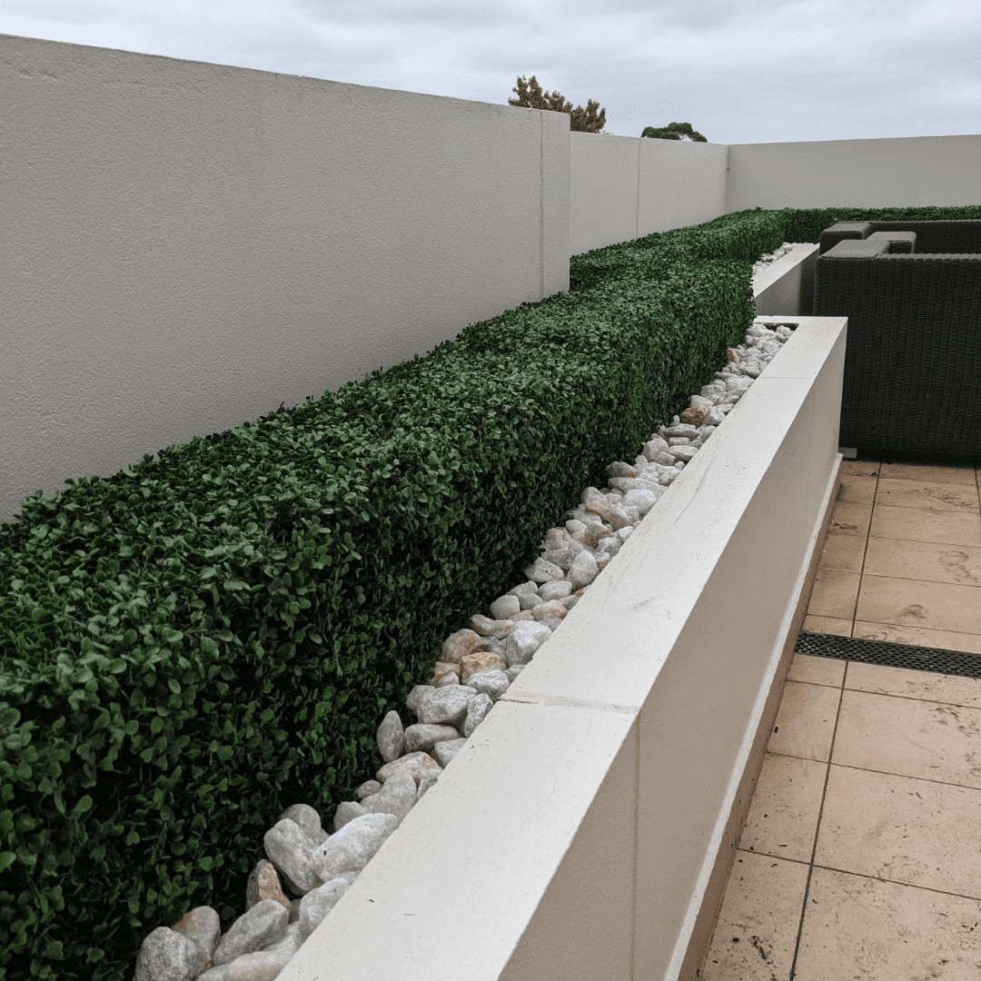 Portable Boxwood Hedge UV Resistant 25cm High 100cm Long - Active Workspace
