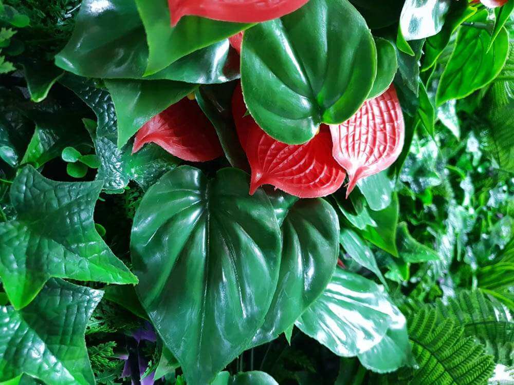 Luxury Red Anthurium Tropical Jungle Vertical Garden / Green Wall UV Resistant 1m x 1m