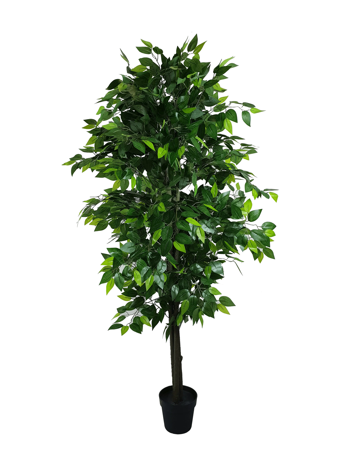 Mixed Green Bushy Artificial Ficus Tree 180cm