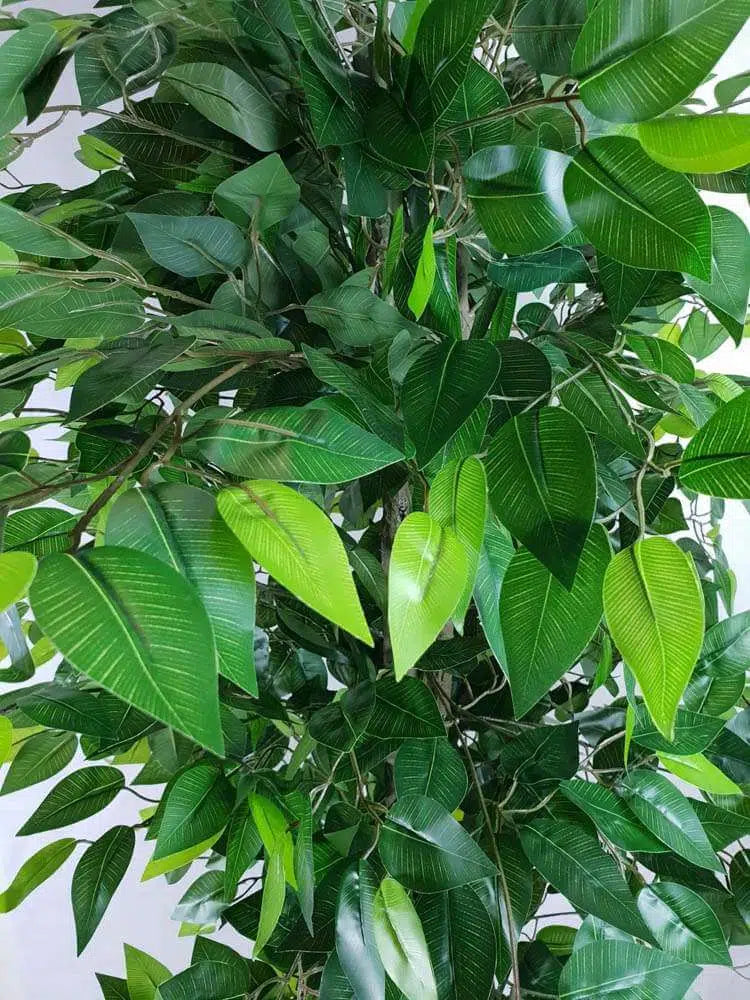 Mixed Green Bushy Artificial Ficus Tree 180cm