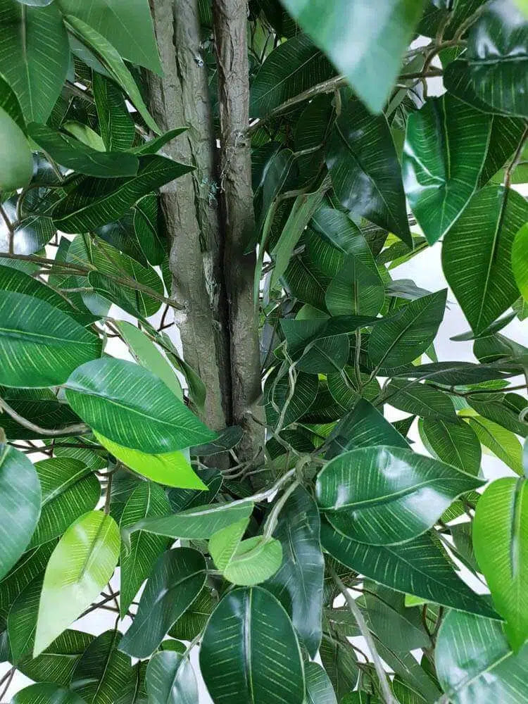 Mixed Green Bushy Artificial Ficus Tree 180cm