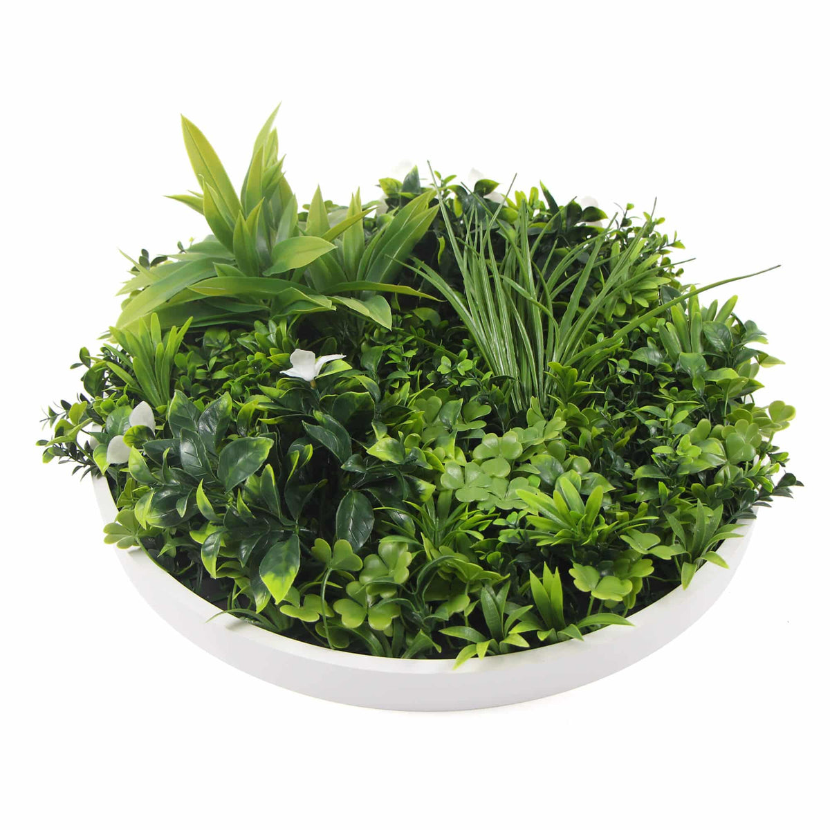 Flowering White Artificial Green Wall Disc UV Resistant 75cm Frame