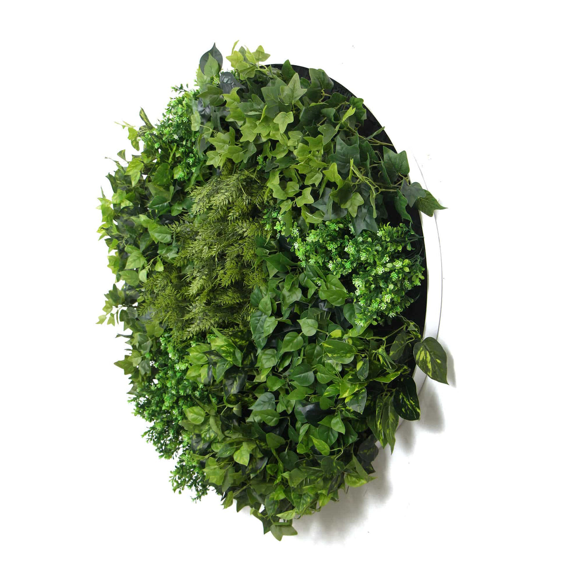 Slimline Artificial Green Wall Disc Art 100cm Mixed Green Fern (Fresh White)