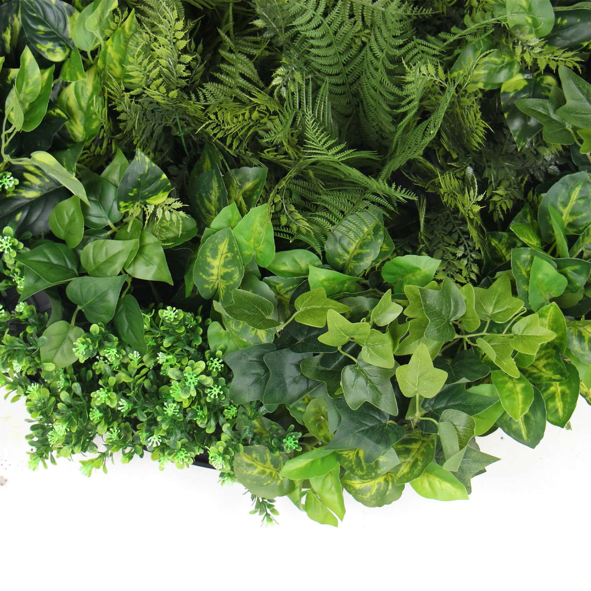 Slimline Artificial Green Wall Disc Art 80cm Mixed Green Fern &amp; Ivy